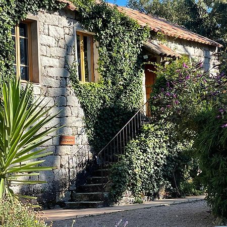 Chambres D'Hotes Barraconu Porto-Vecchio  Dış mekan fotoğraf