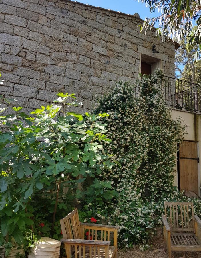 Chambres D'Hotes Barraconu Porto-Vecchio  Dış mekan fotoğraf