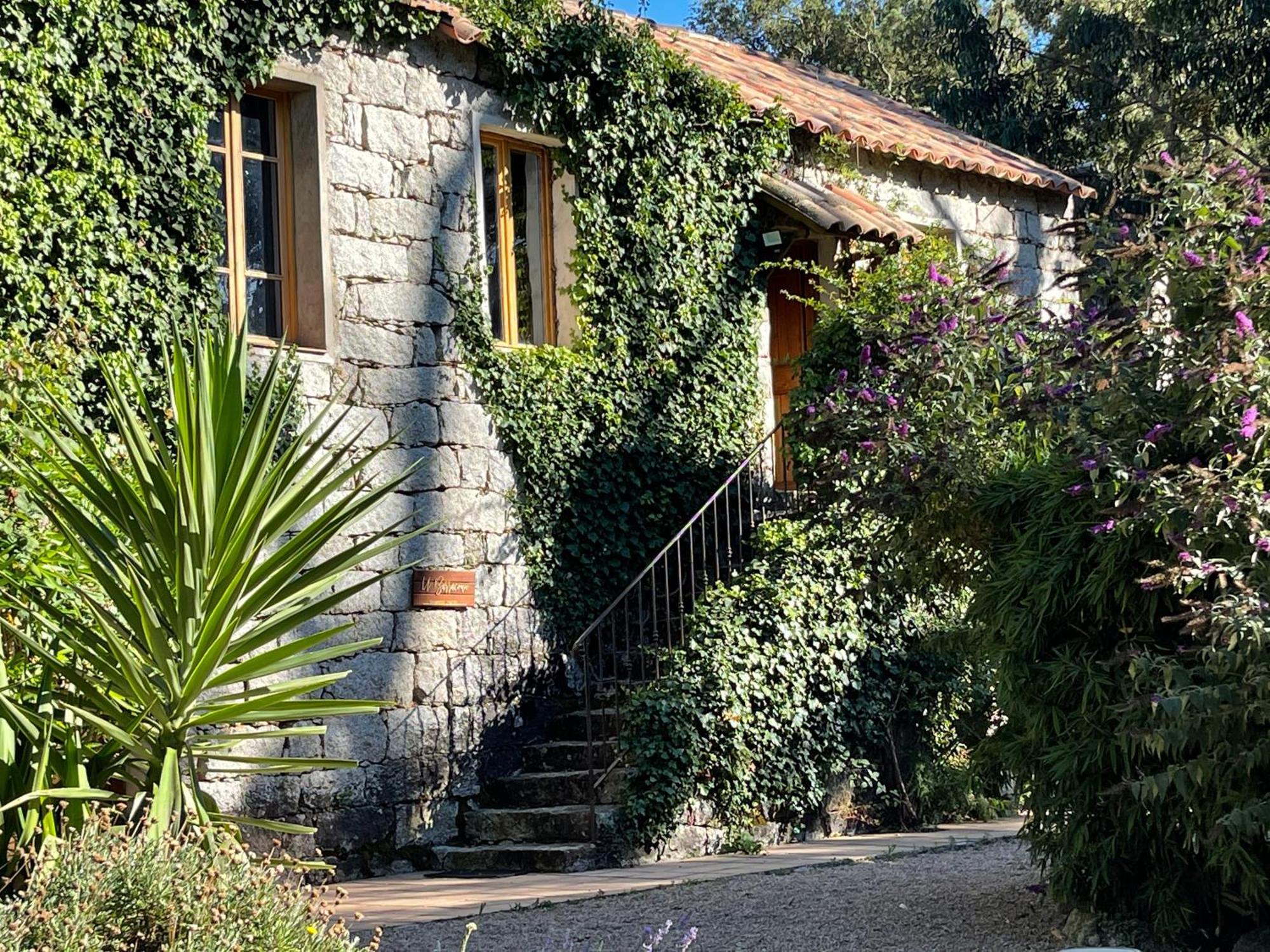 Chambres D'Hotes Barraconu Porto-Vecchio  Dış mekan fotoğraf