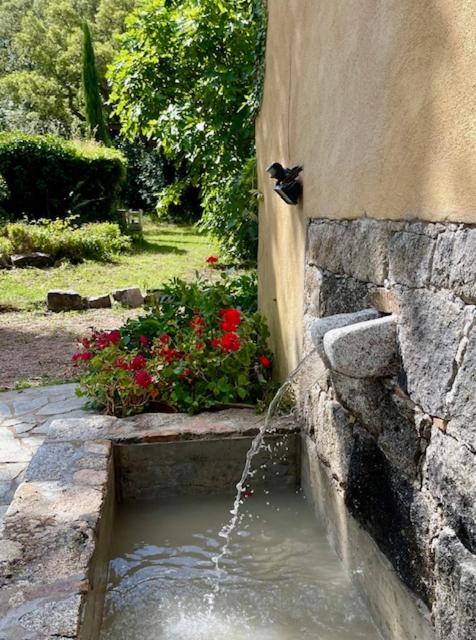 Chambres D'Hotes Barraconu Porto-Vecchio  Dış mekan fotoğraf