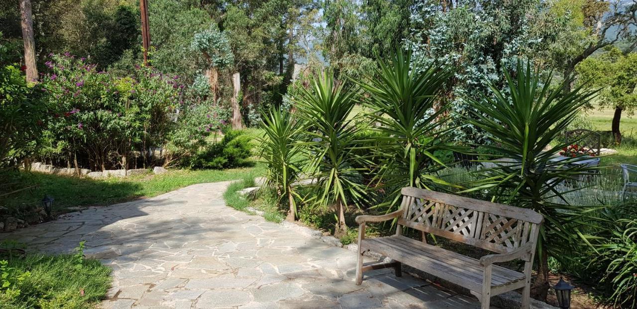 Chambres D'Hotes Barraconu Porto-Vecchio  Dış mekan fotoğraf